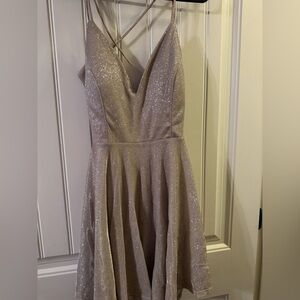 Elegant Glittery Dress